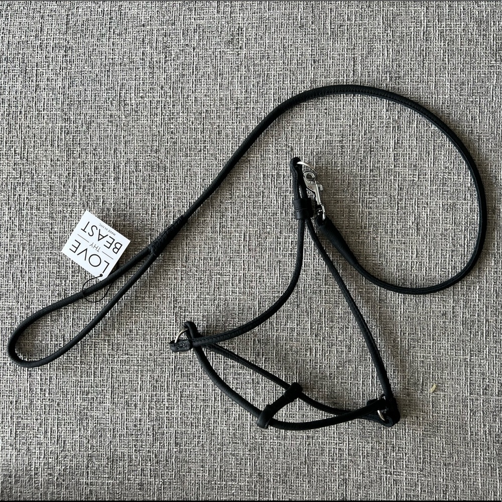 Love Thy Beast Rolled Leather Dog Harness